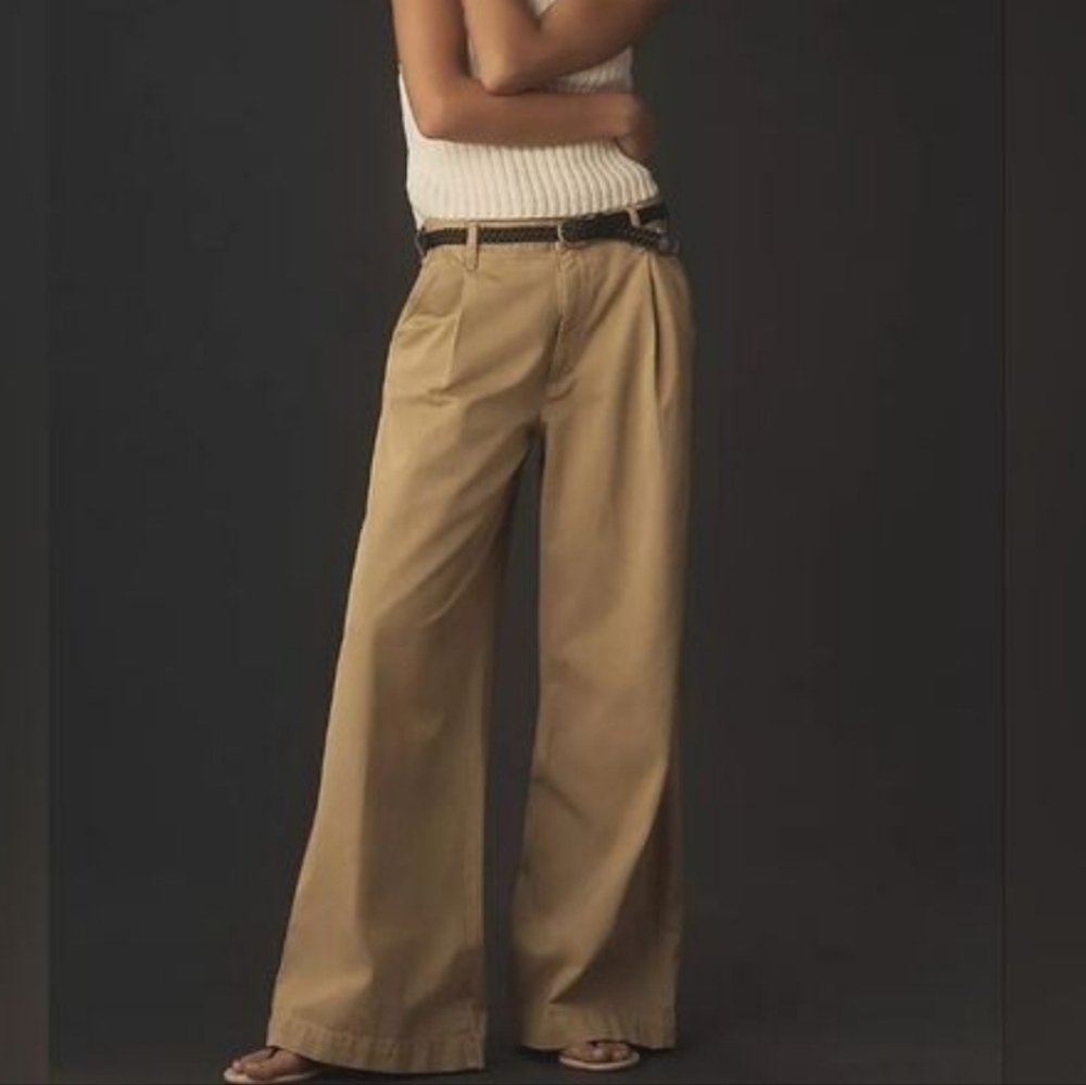 Agolde Daryl Wide-Leg High-Rise Pleated Trousers Pants In Honey Sz 31 Minimalist